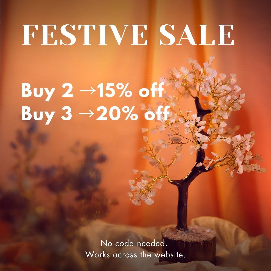 Travel Essentials Make up pouch Colour Pack B