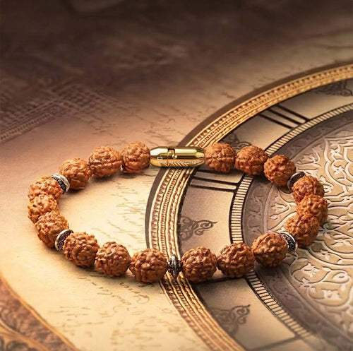 Rudraksh Elastic